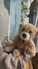 Load and play video in Gallery viewer, Hot Air Balloon Teddy Bear
